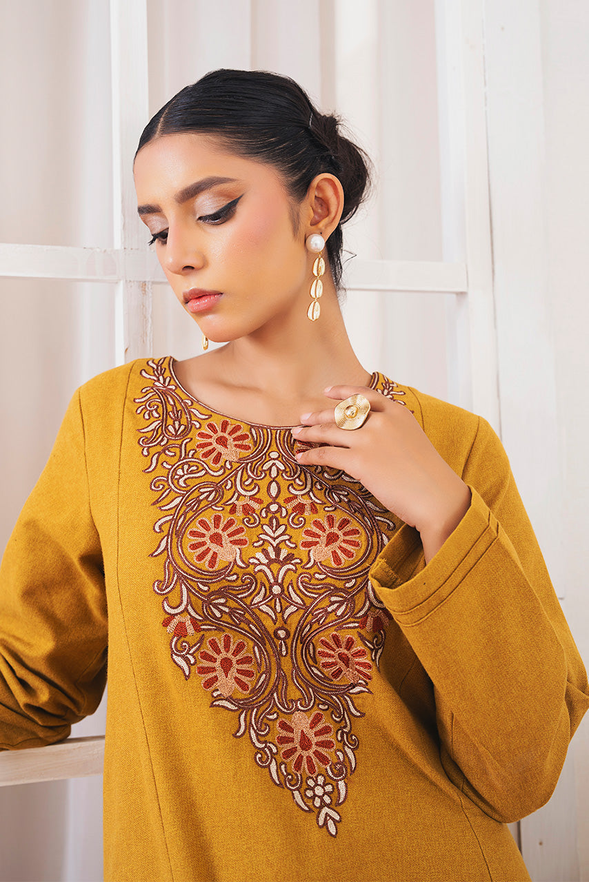 Ready to Wear 2-PC Embroidered Woolen Suit