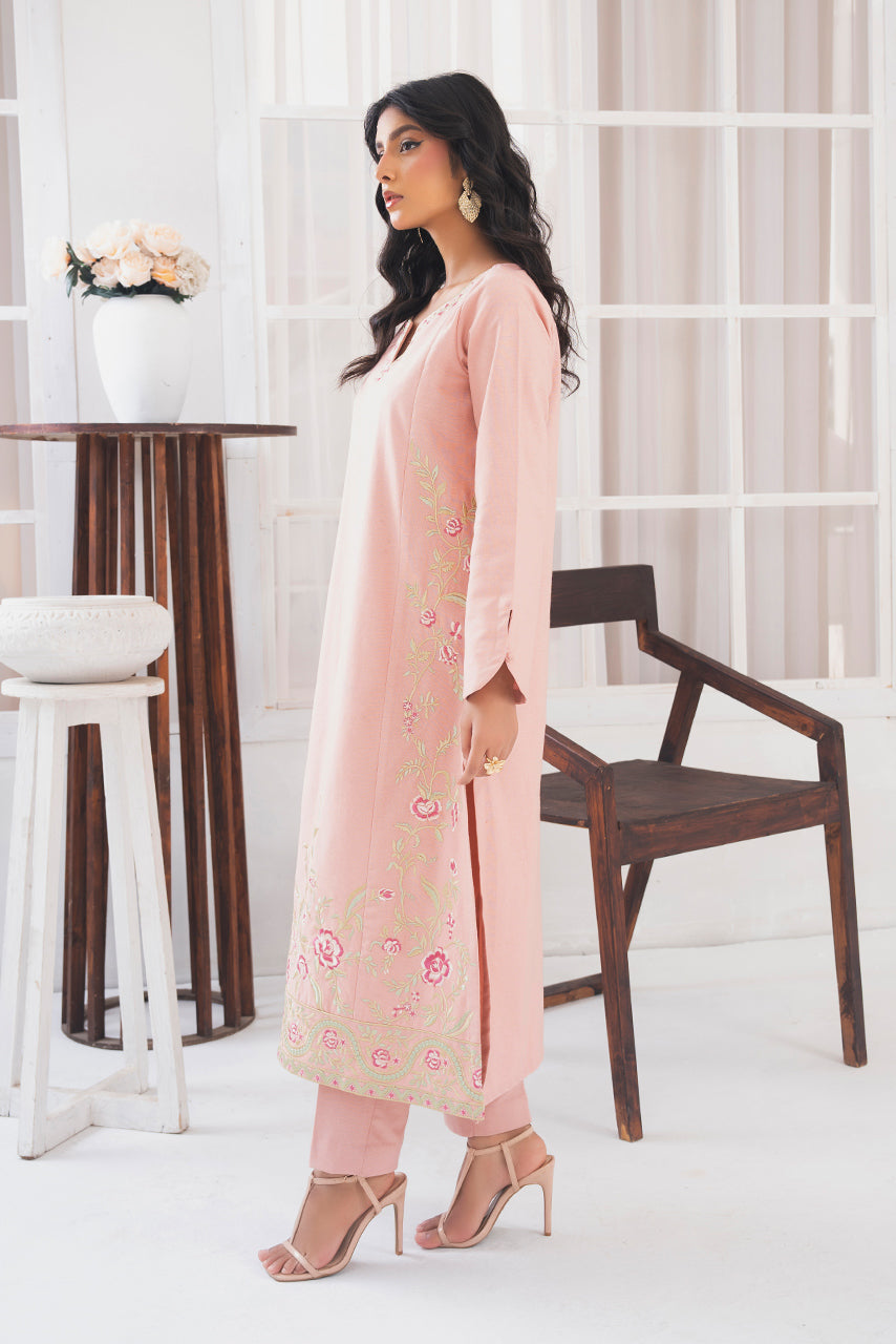 Ready to Wear 2-PC Embroidered Khaddar Suit