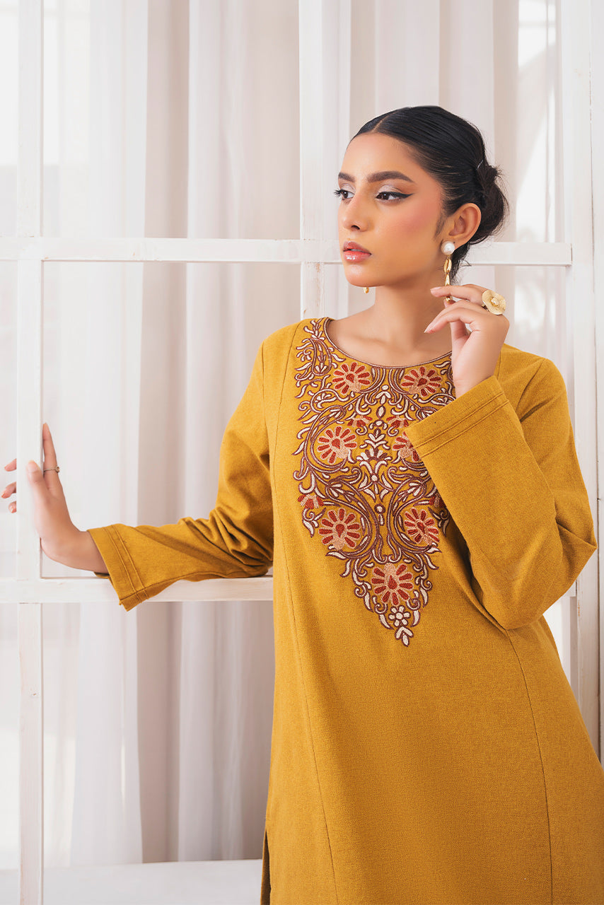 Ready to Wear 2-PC Embroidered  Woolen Suit